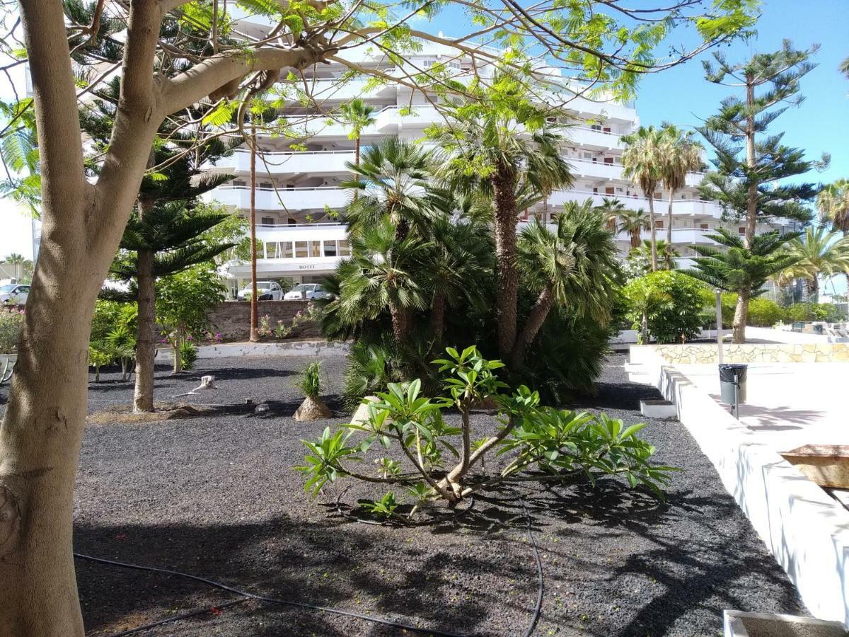 Appartamento Vina Del Mar *